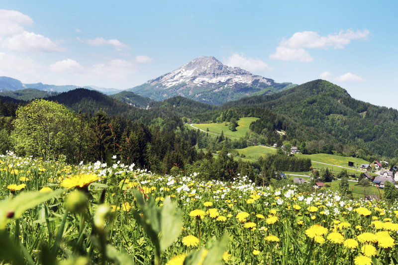 JUFA Hotel Annaberg 1