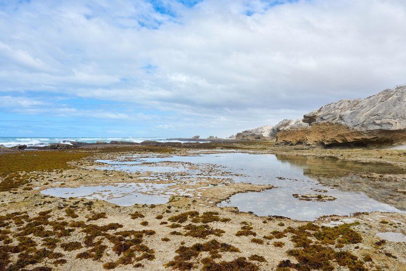 De Hoop Collection 1