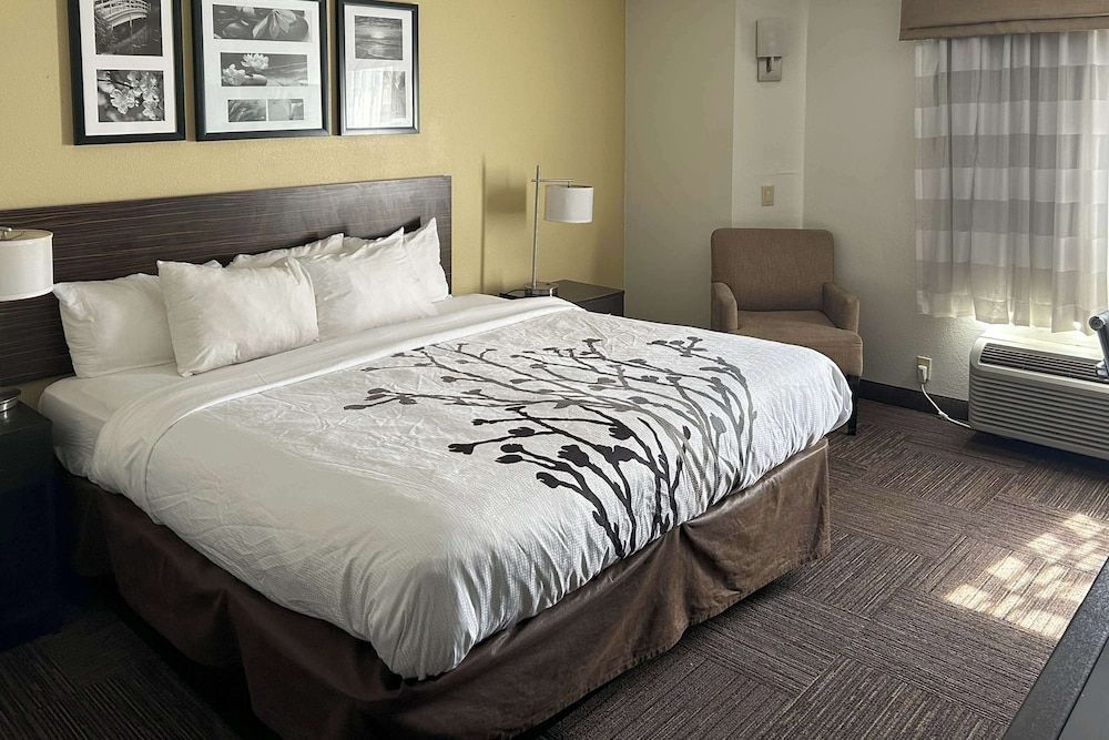 Sleep Inn Wilson near I-95 1