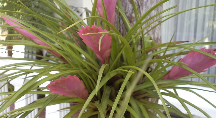 St. Lucia Wetlands Guest House 2