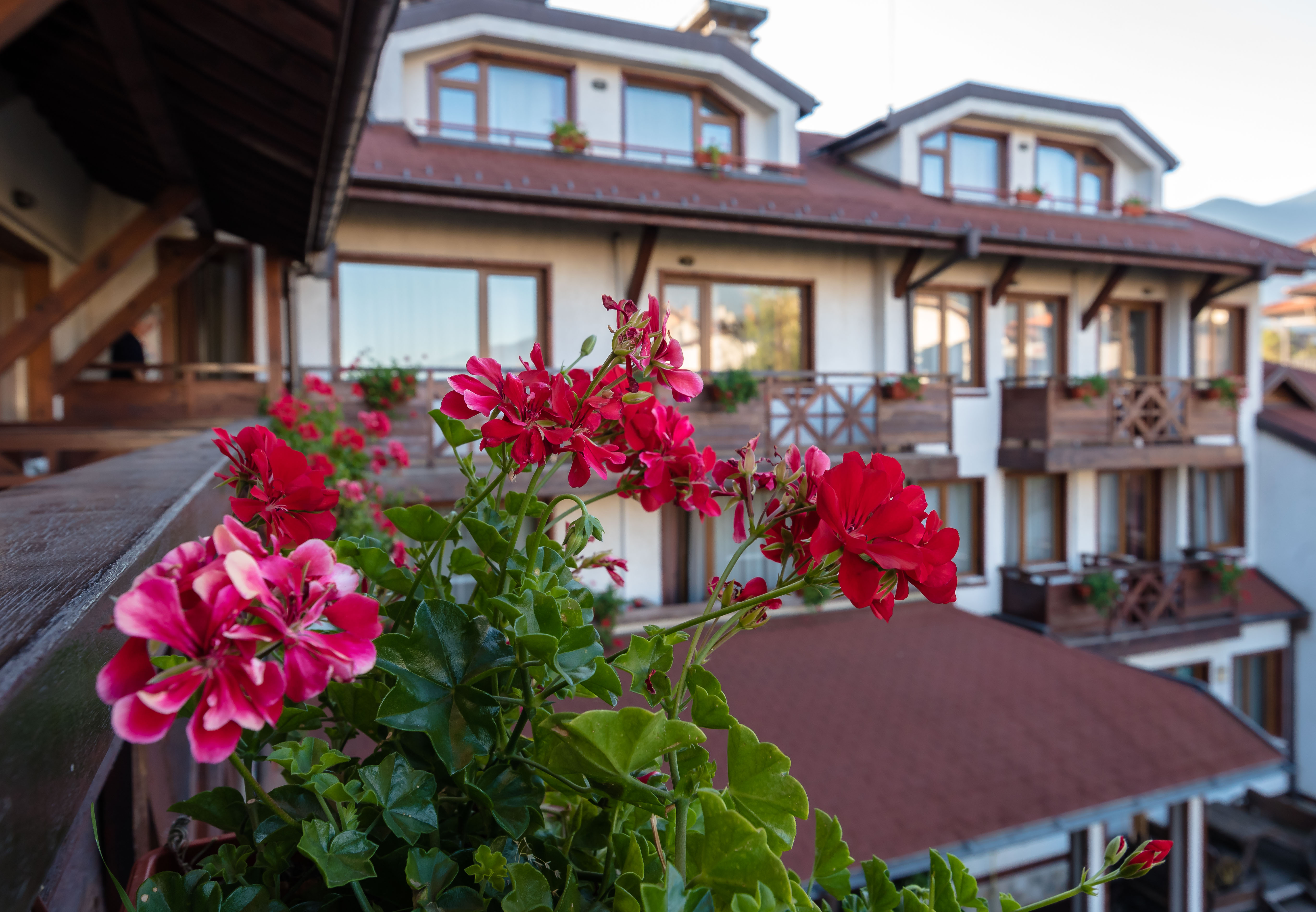 Evelina Palace Hotel 1