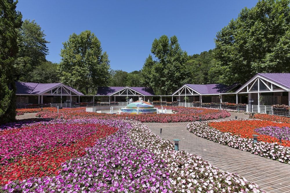 Unique Garden 1