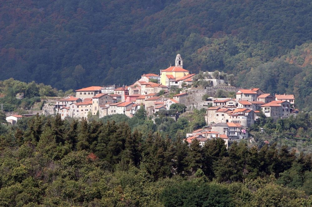 Park Hotel La Pineta 1