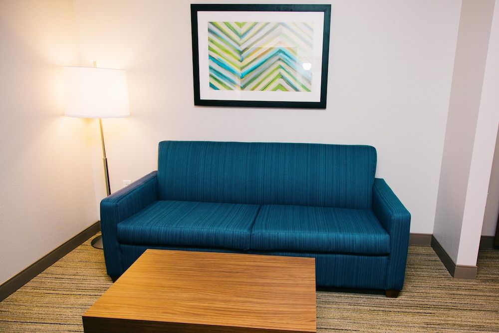 Holiday Inn Express & Suites TAMPA -USF-BUSCH GARDENS by IHG 2