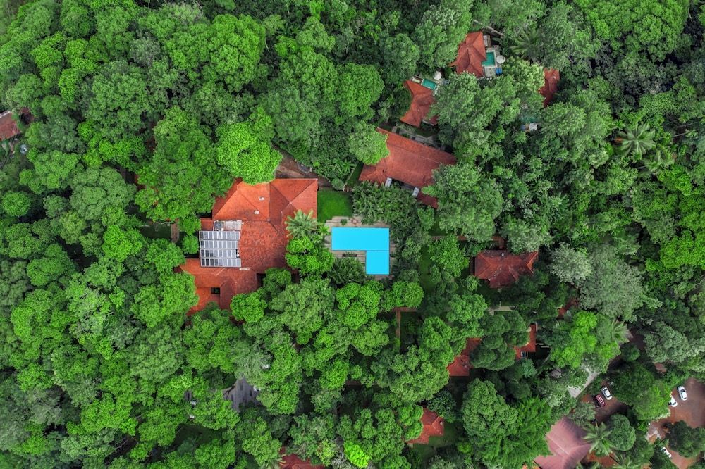 Greenwoods Thekkady - A Five Star Classified Resort 1