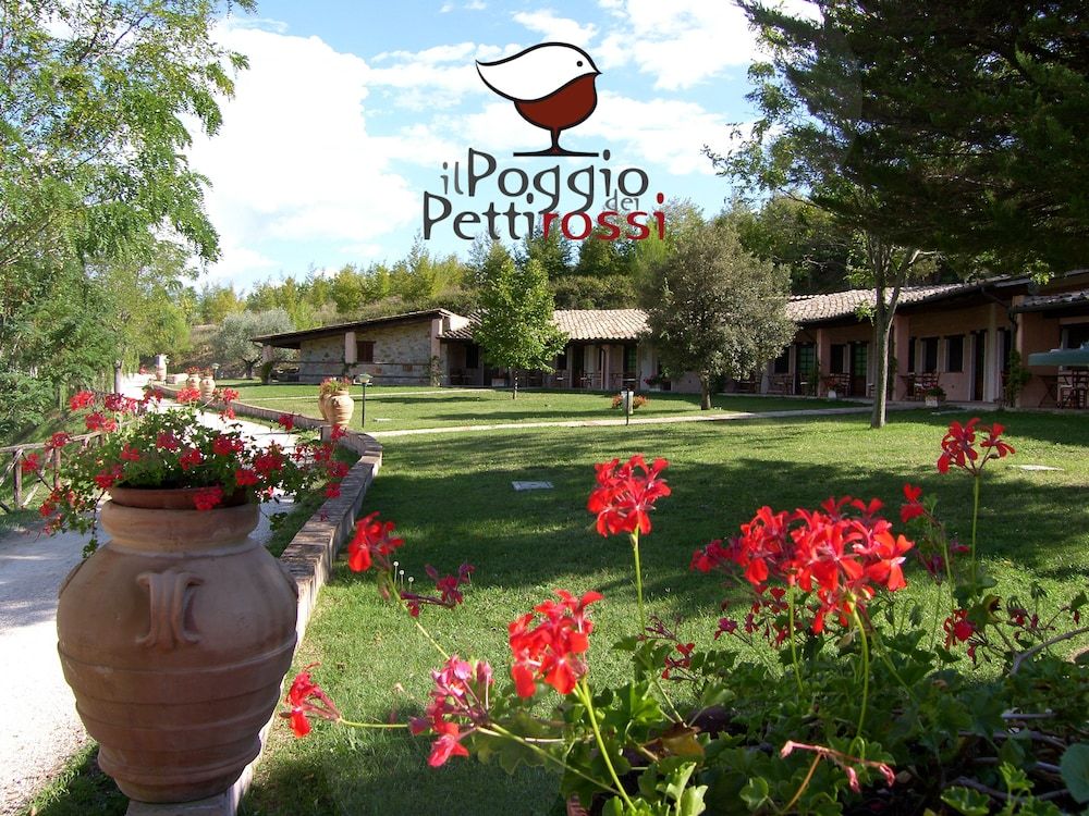 Il Poggio dei Pettirossi 1