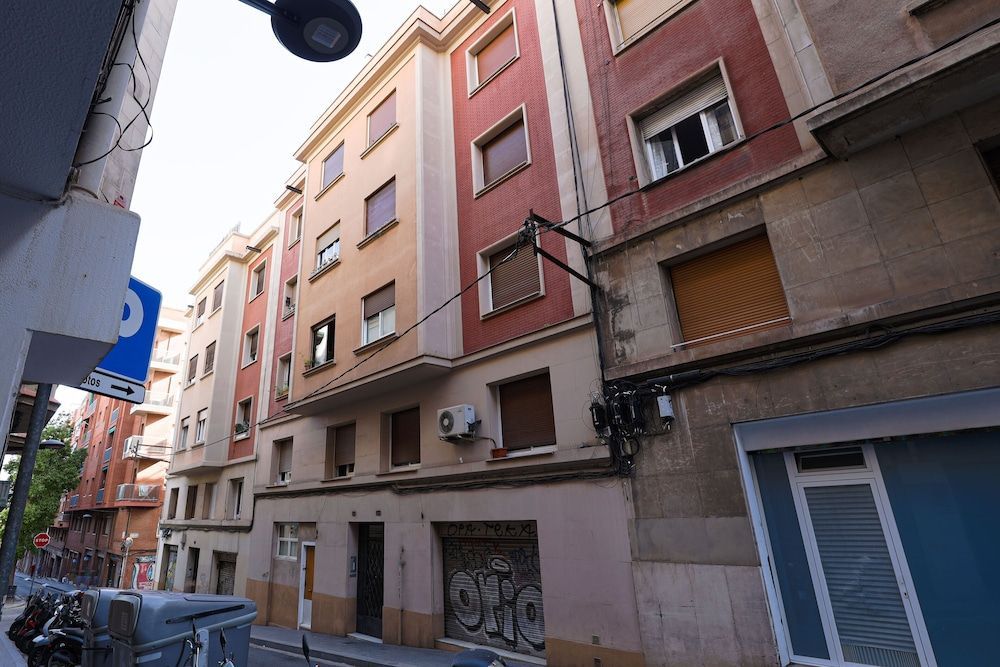 Alcam Torrent 1