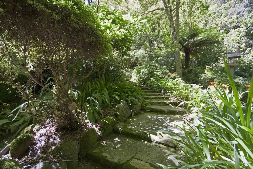 Lotus Lodges 2