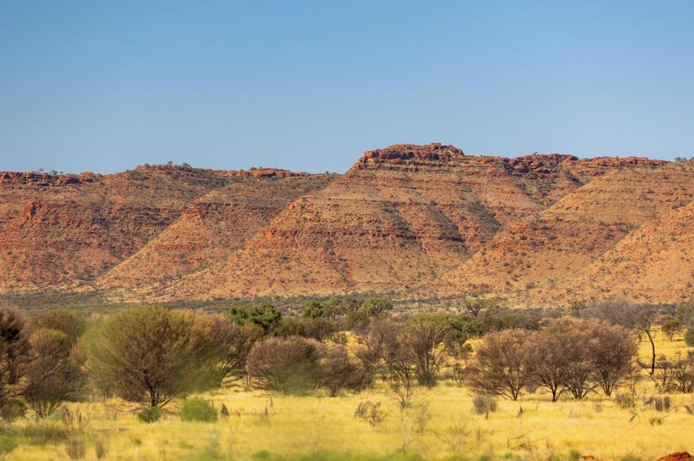 Discovery Resorts - Kings Canyon 1
