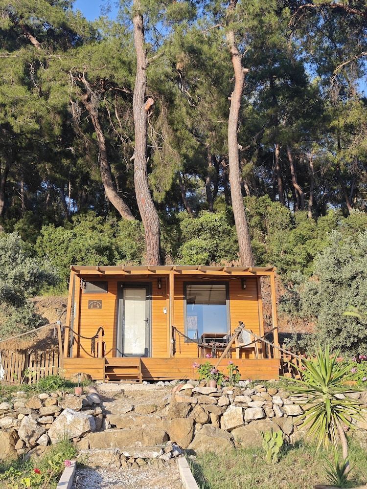 TİNY MİNİ HOUSE 2