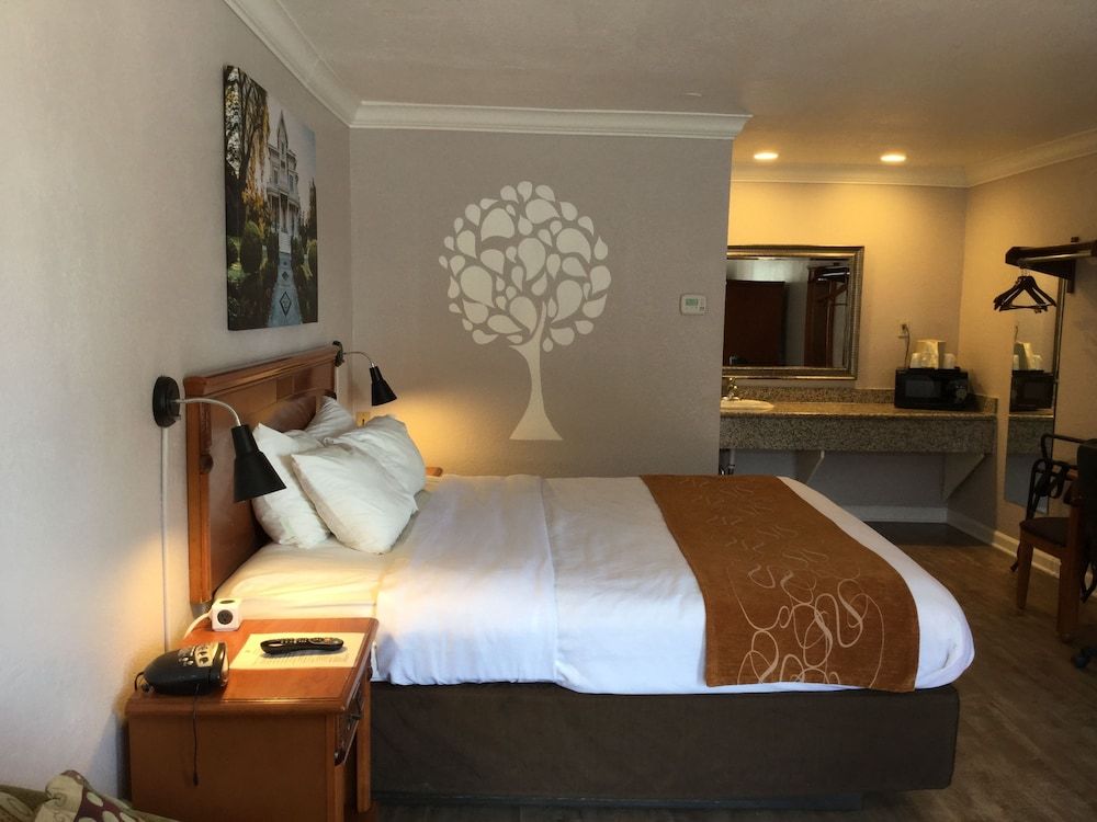 Journey Inn 1