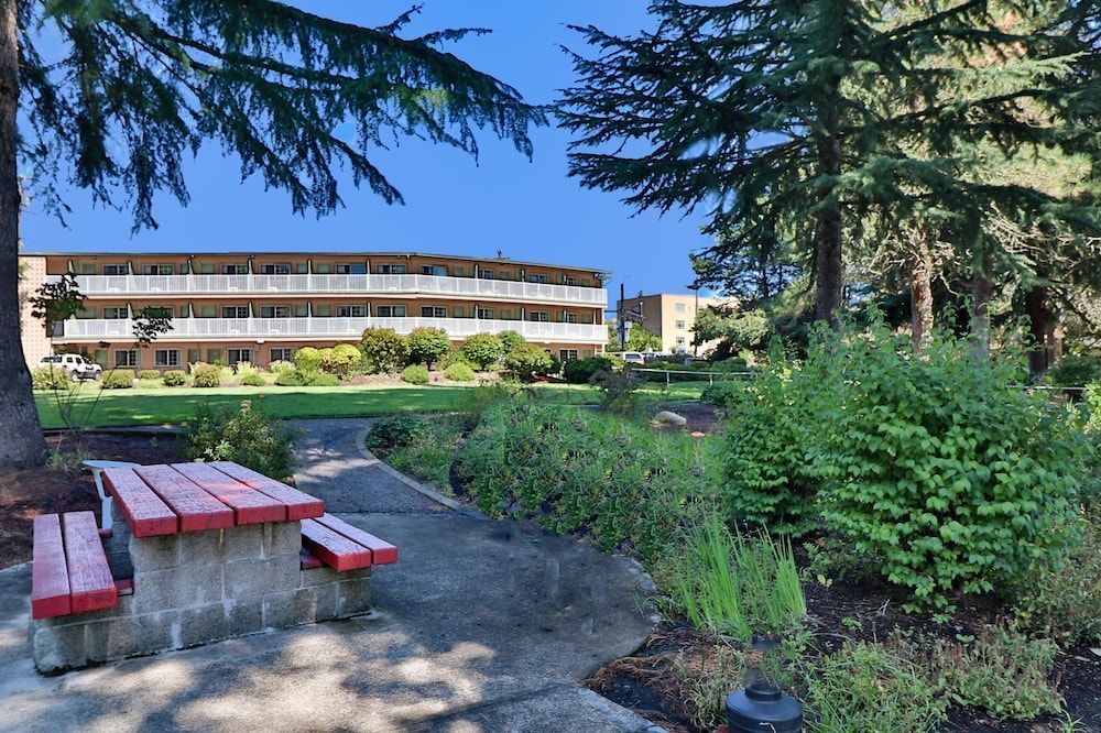 Riverfront Inn Roseburg 1