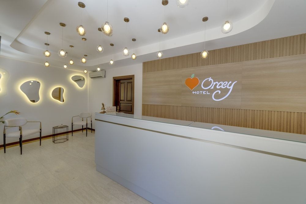 Orcey Hotel 2