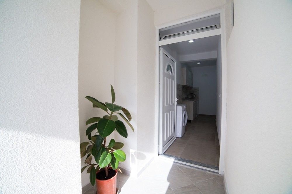 Apartmens Rex 2