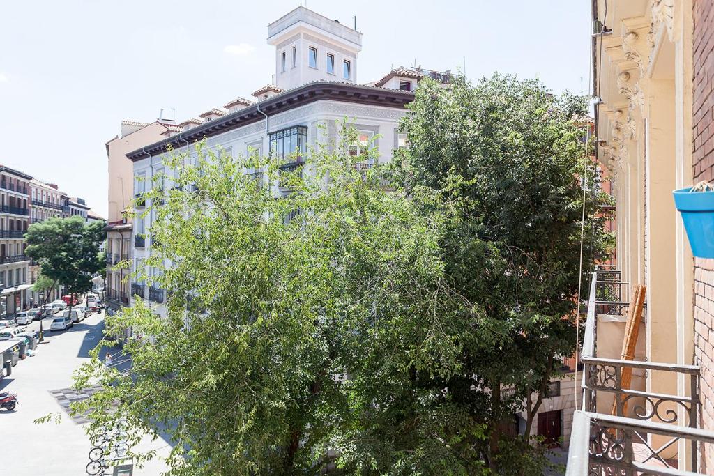 Boutique Apartments in the Heart of Madrid 2