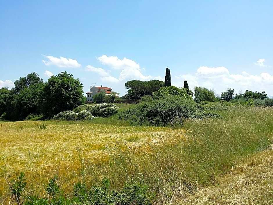 Villa Lavinia B&B 1