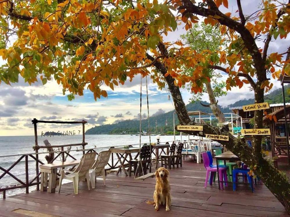 Kohchang 7 seaview bungalow 1