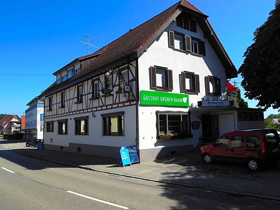 Grüner Baum 1