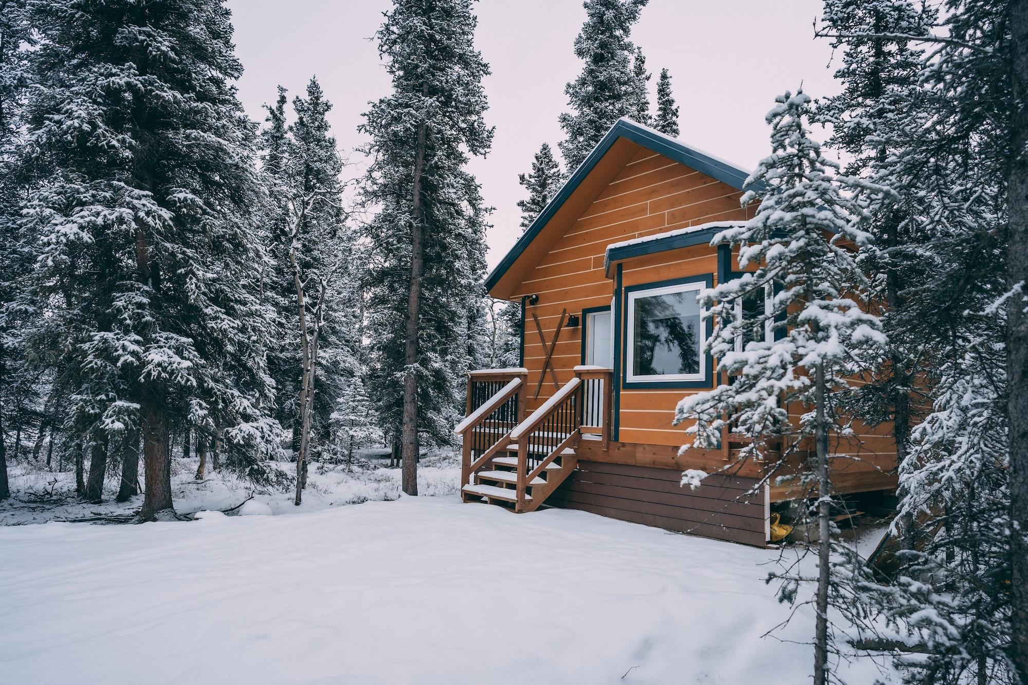 Denali Wild Stay 2