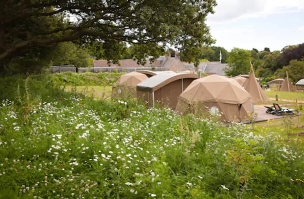 Durrell Wildlife Camp 1