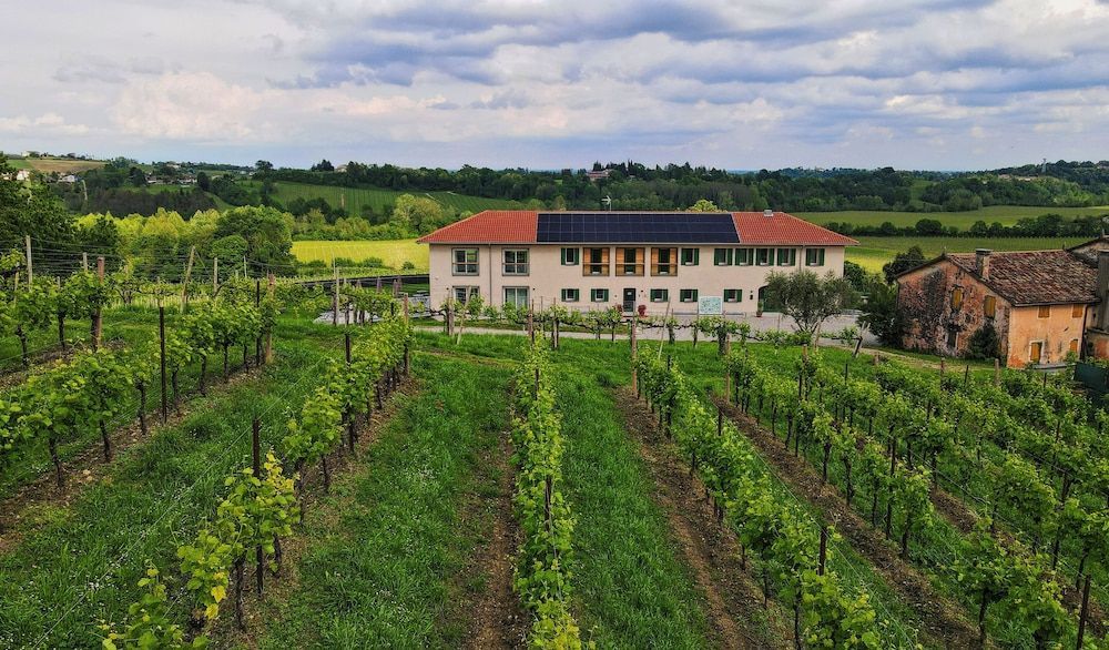 Tenuta Mani Sagge 1