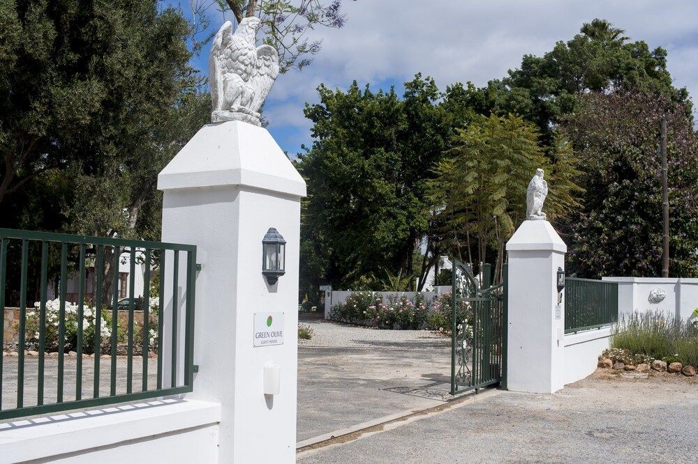 Green Olive Guesthouse 1