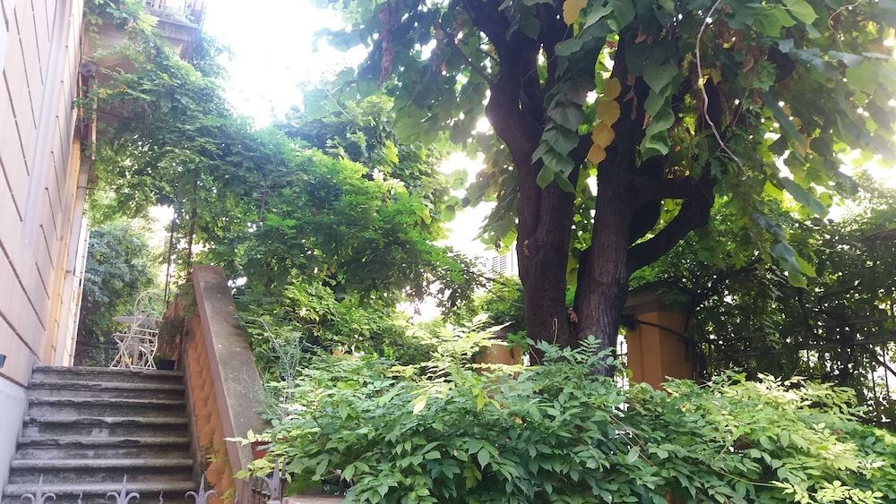 Tilia 2