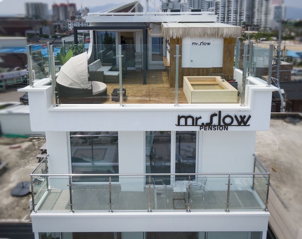 Mr. Slow 1