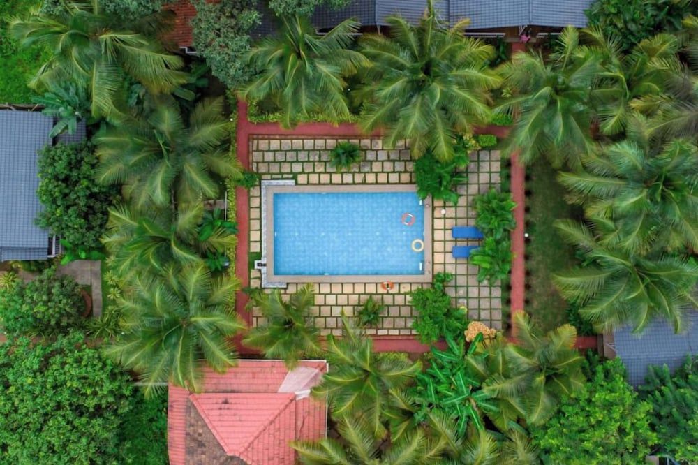 White Truffle Resort, Arambol 1