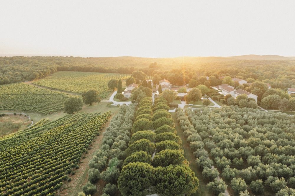 Meneghetti Wine Hotel and Winery - Relais & Chateaux 1