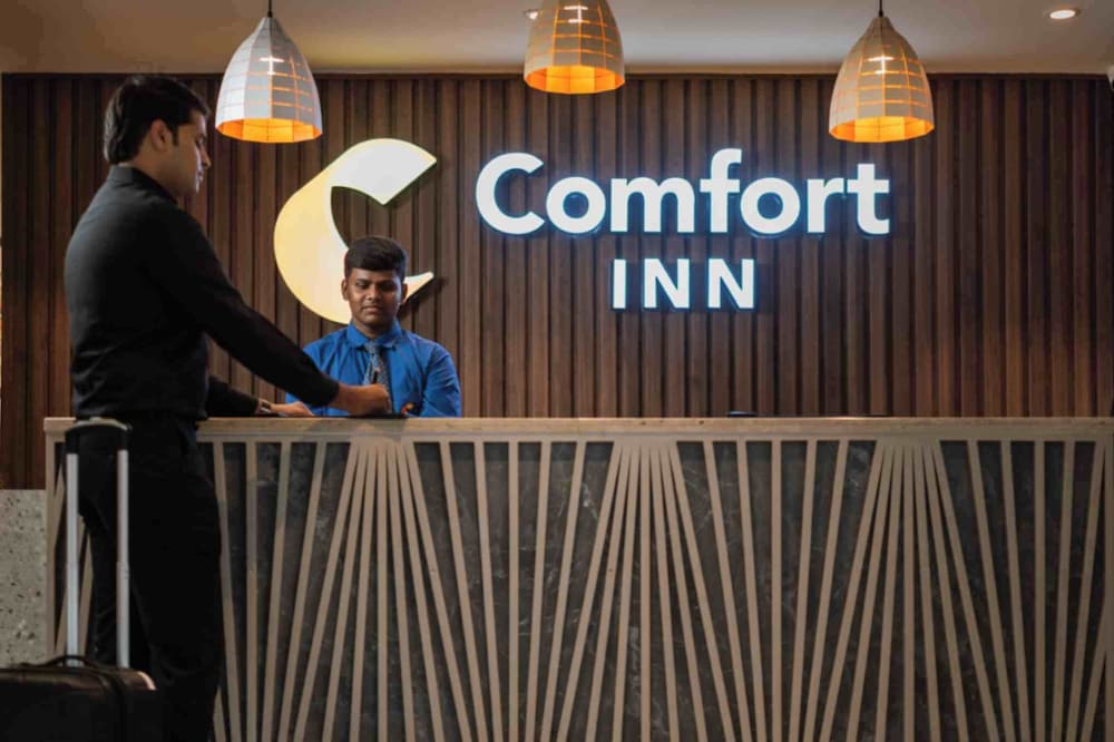 Comfort Inn Elite 2