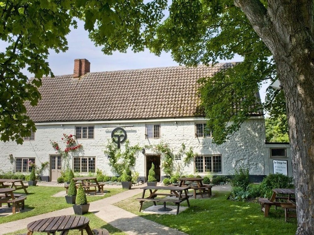 The Orange Tree 1