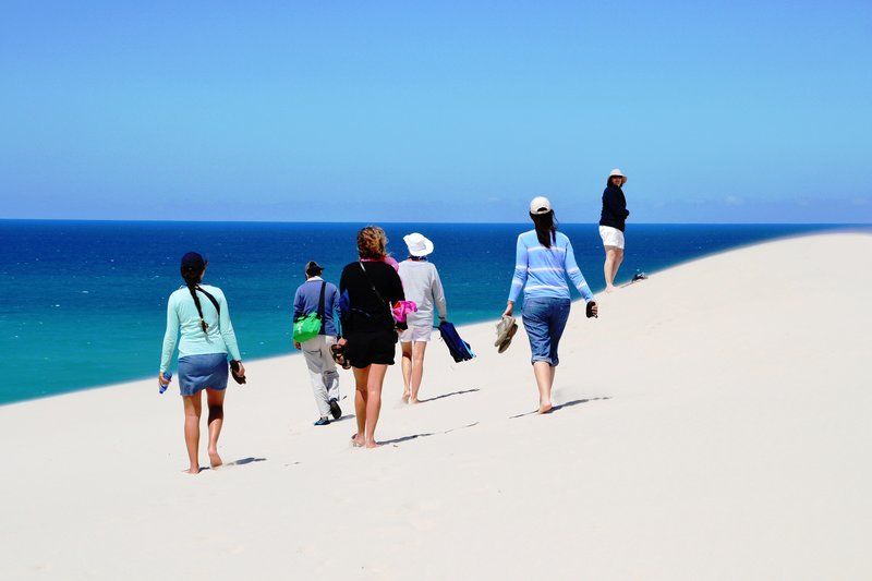 De Hoop Collection 2