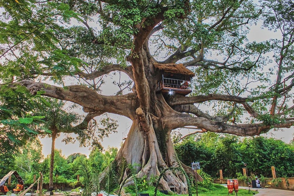Wassado cultural lodging 1