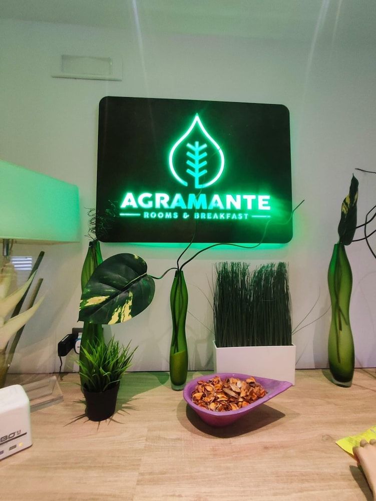Agramante 2