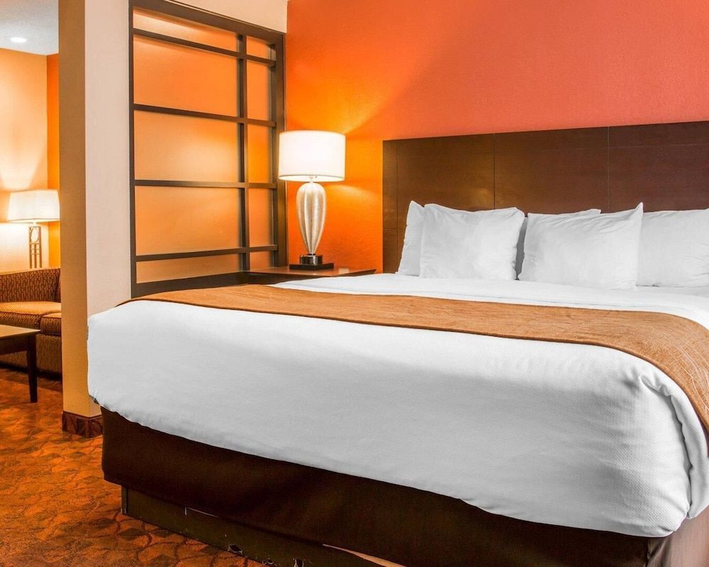 Comfort Inn & Suites and Conference Center 1