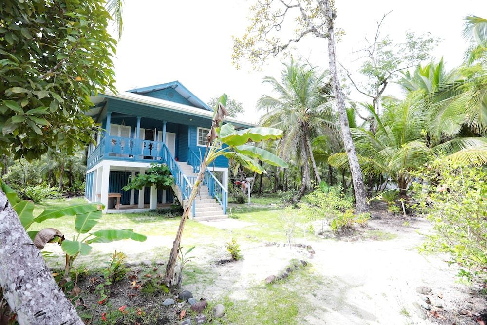 Azul Paradise 1