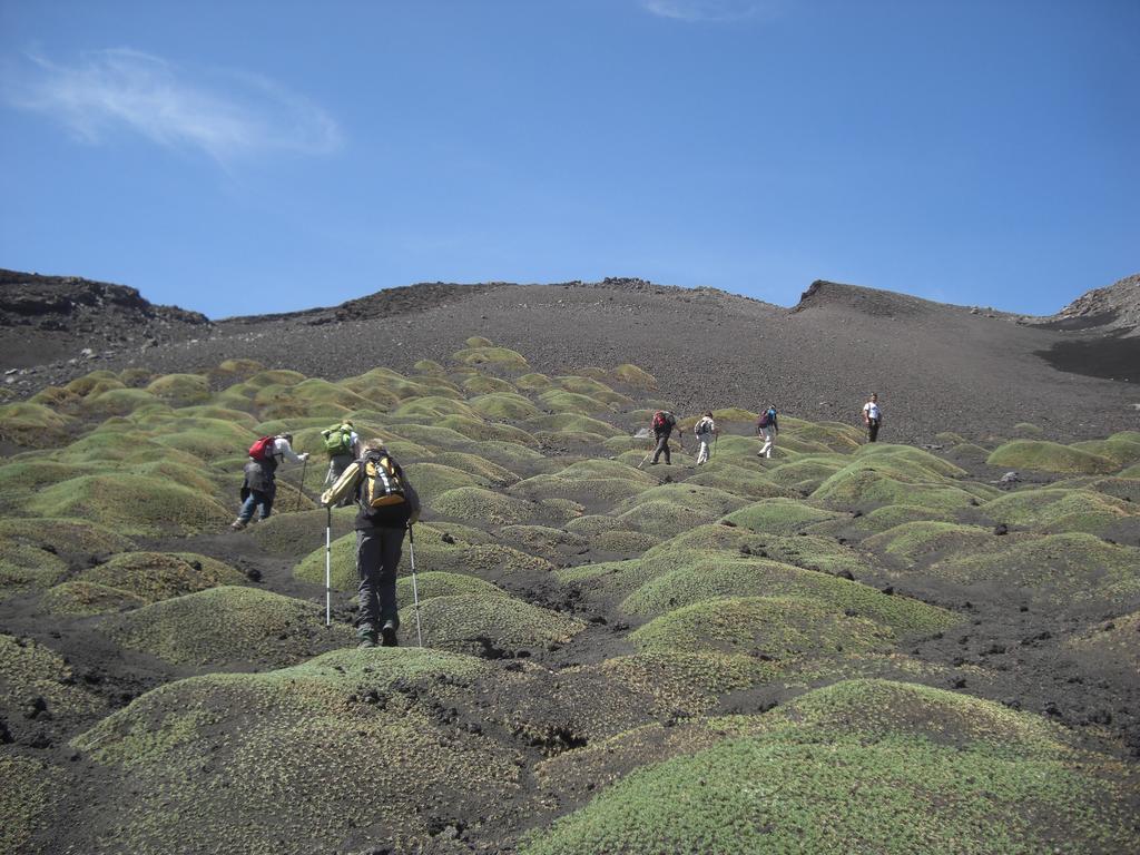 Sotto Il Vulcano 2