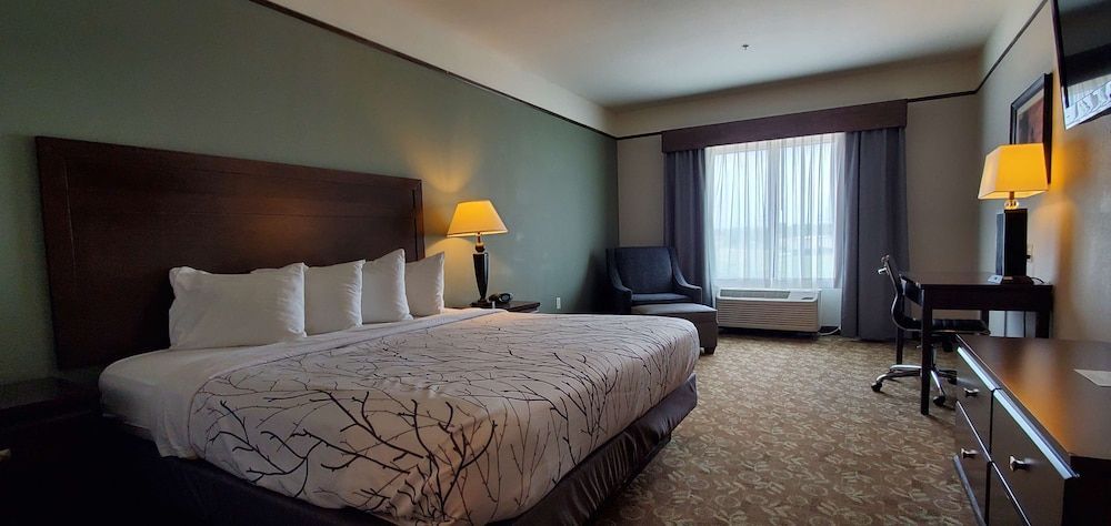 Best Western Plus Emory at Lake Fork Inn & Suites 1