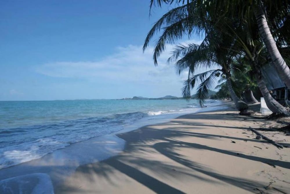 Shady Resort 1