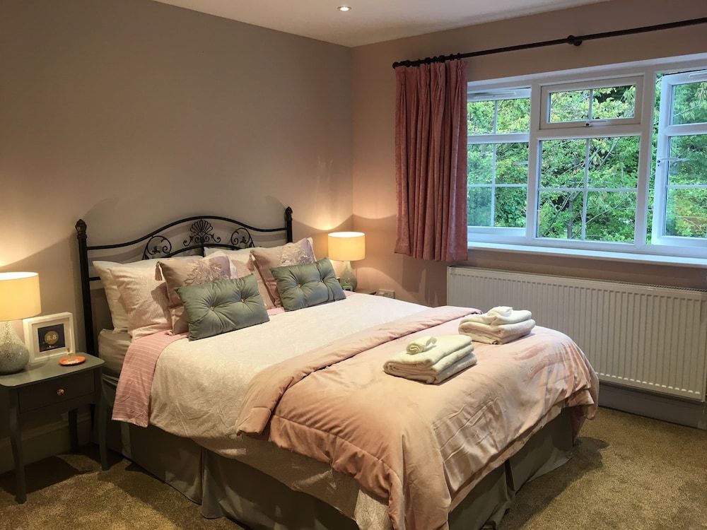 Leafy Suburban Bed and Breakfast 1
