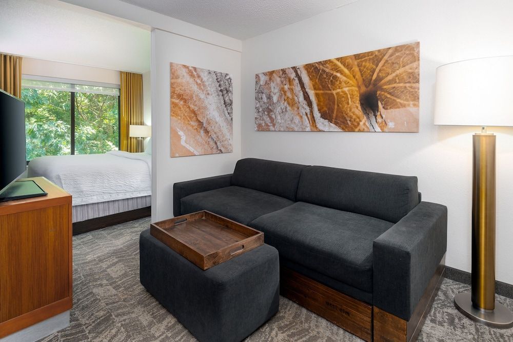 SpringHill Suites Asheville 1