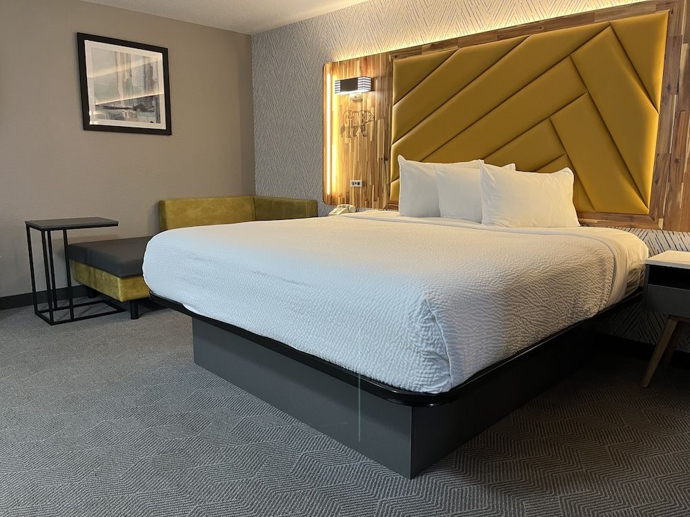 The Wander Hotel by Wyndham 2