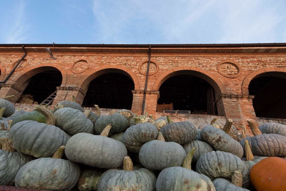 Agriturismo Arte Contadina 1