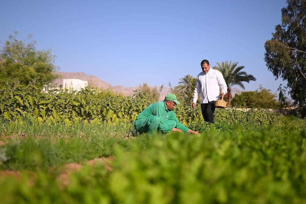 Fiord Club Resort & Spa Nuweiba 1