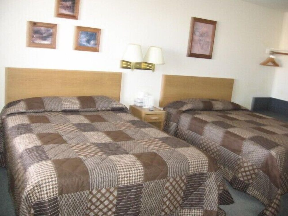 Little Bear Motel 2