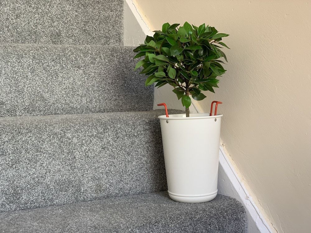 Buccleuch Apartment 2