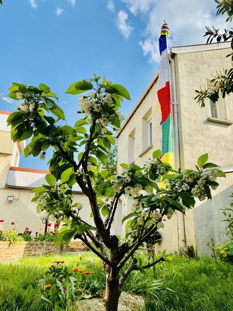 Reims Sherpa Guest House 1