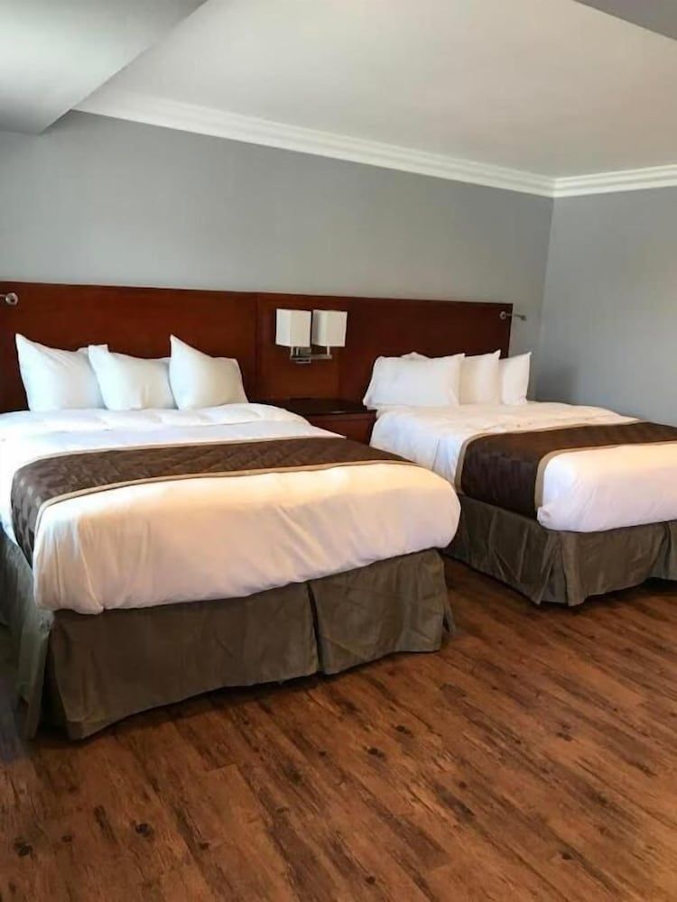 Rex Motel 1