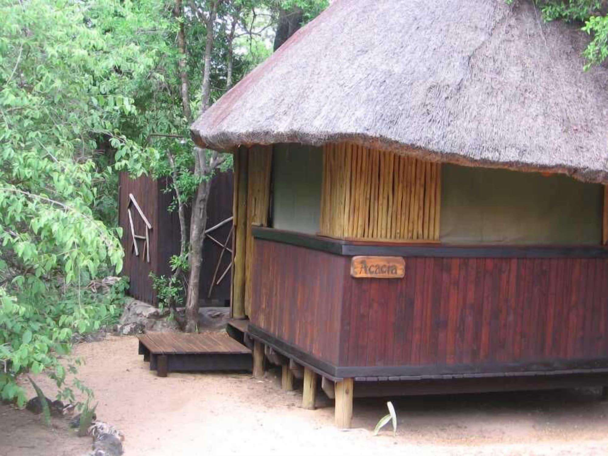 Offbeat Safaris 1